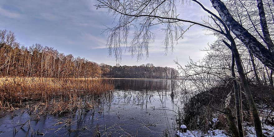 Lake, Trees, Horizon, Clouds, Bare Trees, Snow, Winter, Water, Calm Water, Branches, Tree Branches