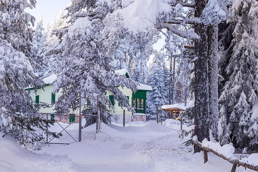 жилой дом, зима, время года, снег, лес, природа, дерево, пейзаж, гора, мороз, лед