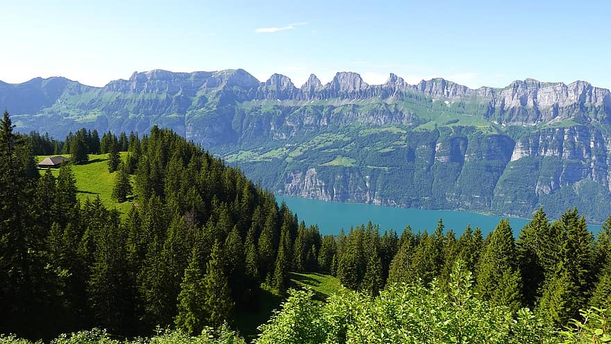 bosque, abetos, panorama de montaña, Walensee, verano de montaña, Flumserberg, montaña, paisaje, verano, color verde, árbol
