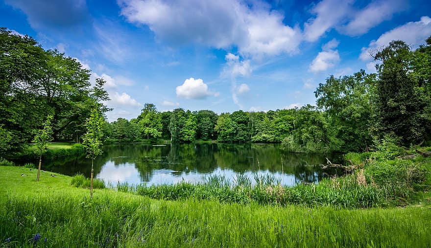 Lago appartato, verde, paesaggio, yorkshire, estate, alberi, Erba lussureggiante, riflessi, natura, cielo, sole