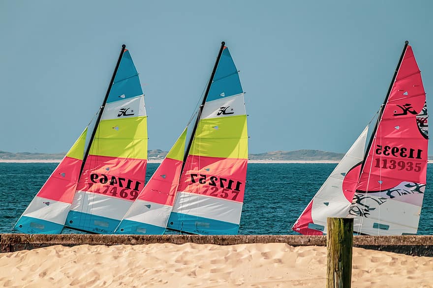 seiling, windsurfing, Strand, hav, kyst, vannsport, resort, kystlinje