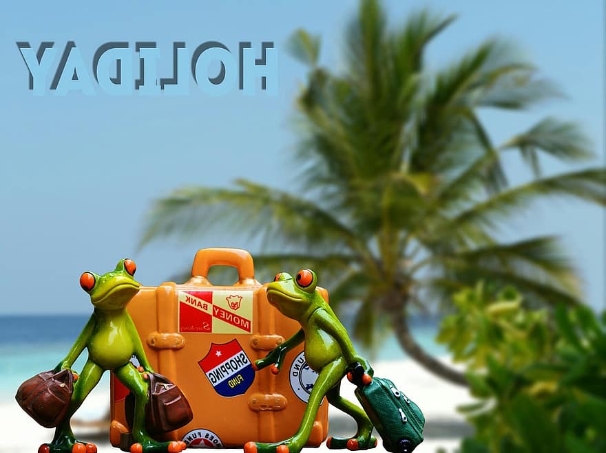 відпустка, багаж, пальмові дерева, Пляжний, жаба, смішно, милий, подорожі, йди геть, упаковка, свята