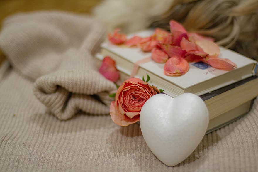 boek, liefde, Valentijnsdag, roos, hart-, verrassing, romance, bloem, detailopname, bloemblad, gift
