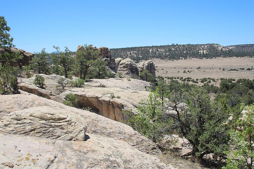 el morro национален паметник, Ню Мексико, скали, пясъчник, пейзаж, природа, дървета, скални образувания, национален парк, лято