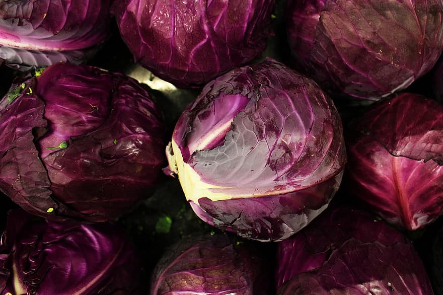 The Purple Cabbage, Purple, Cabbage, Purple Cabbage Background, The Purple Background, Food, Vegetable, Fresh, Raw Data, Red, Vegetarian