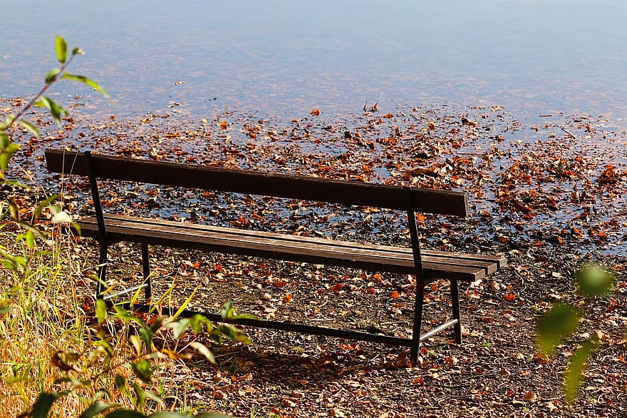 Lavička U Jezera, jezero, Lavička v parku, lavice, podzim, list, sezóna, žlutá, dřevo, rostlina, strom