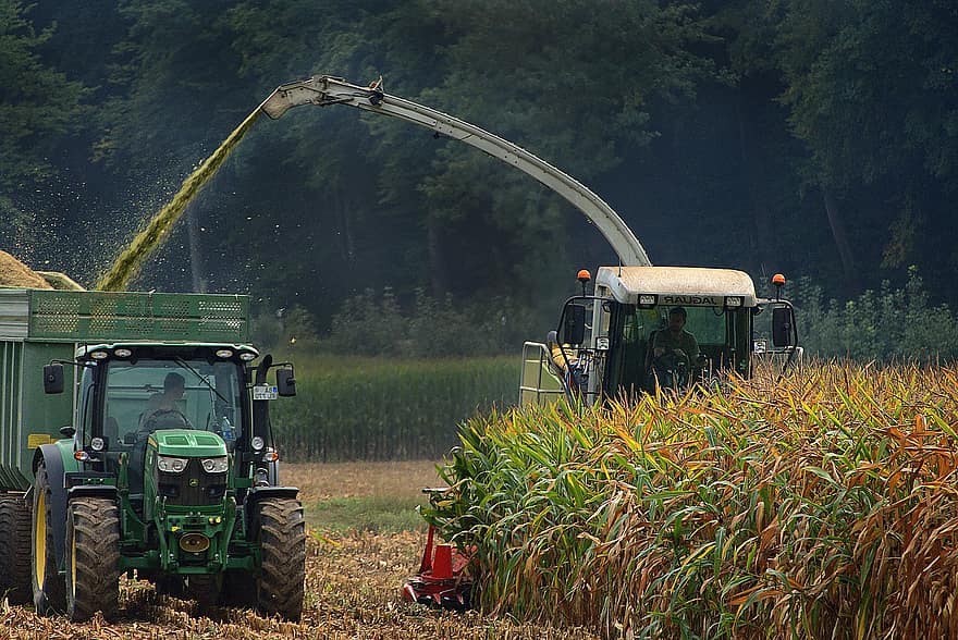 kukurūzas ražu, kombains, traktors, lauksaimniecības tehnika, ražas novākšanas laiks, ražu, aramzemes, jomā, kukurūzas lauki, lauksaimniecību, kukurūza