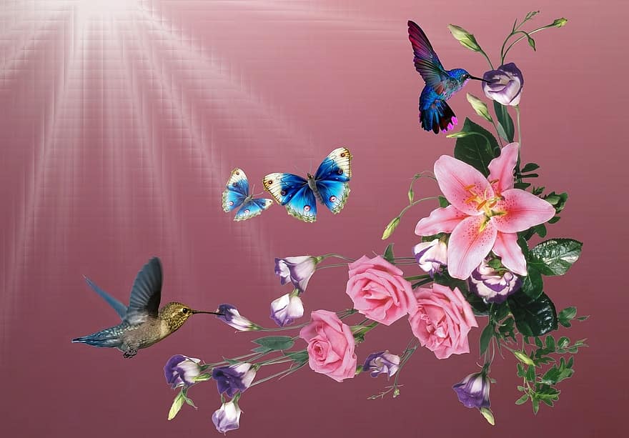 beija flor, kolibri, putni, ziedi, gaisma, raksturs, dekoratīvs zieds, lidošana, pavasarī, tauriņi, dārzs