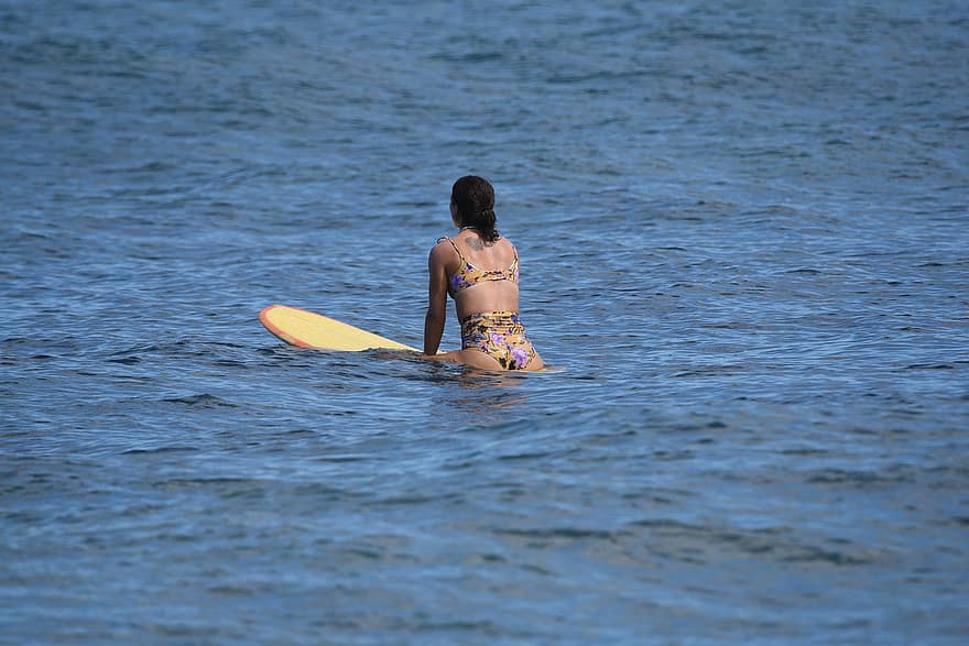 surfować, surfing, ocean, morze, dziewczynka, kobieta, woda, fala, lato, kobiety, wakacje