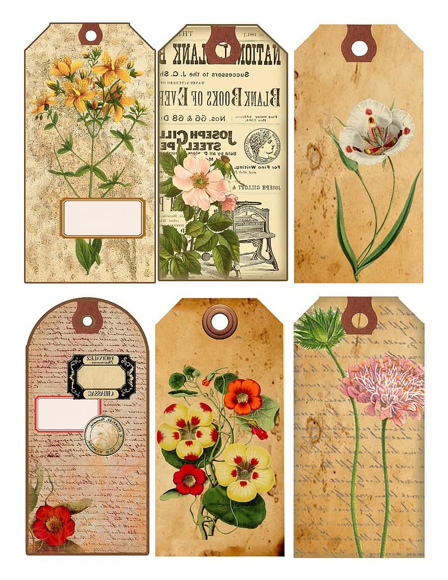 tags, utklippsbok, blomster, scrapbooking, etiketter, årgang, papir, dekorative, floral