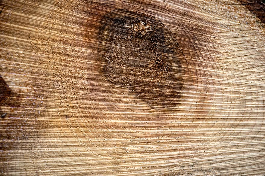Trunk, Wood, Texture, Annual Rings, Tree, Nature, backgrounds, pattern, close-up, abstract, timber