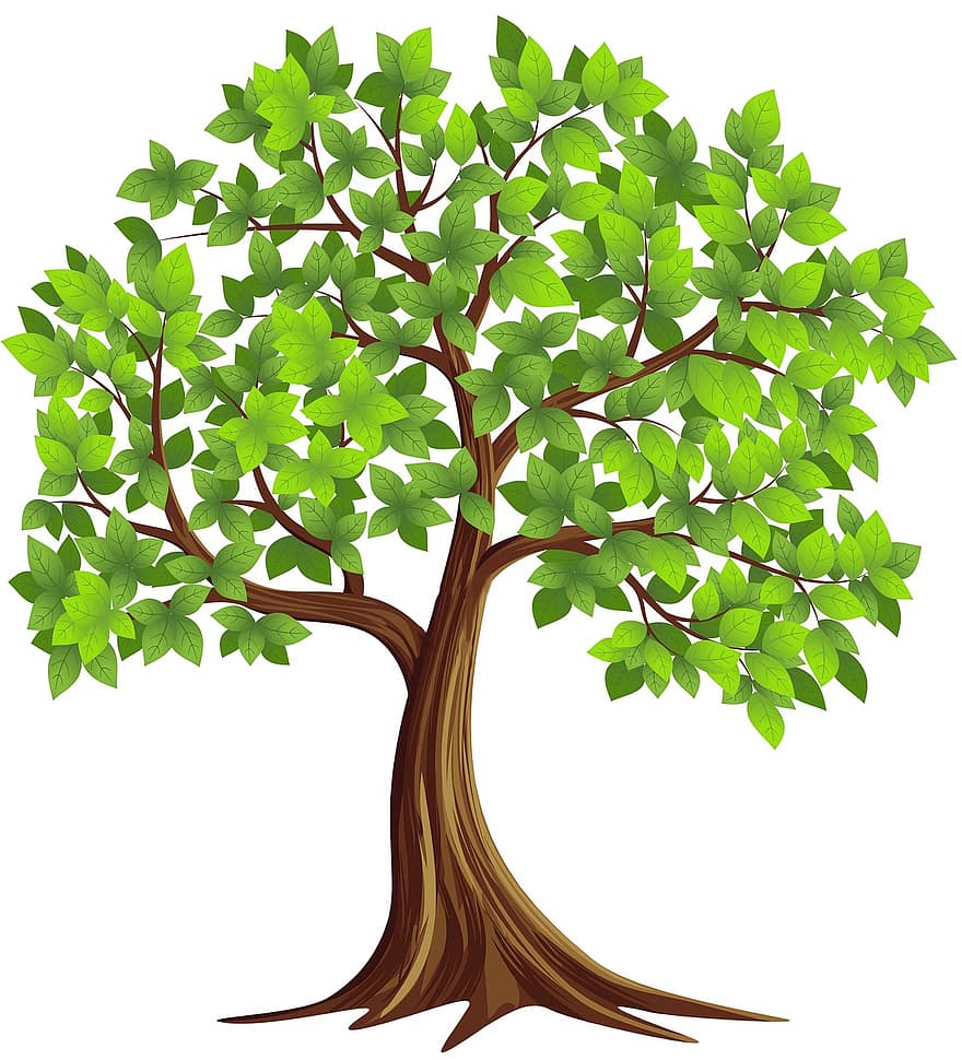 Tree, Leaves, Wall Decal, leaf, branch, plant, green color, forest, backgrounds, summer, vector