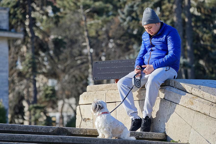 homem, cão, animal, amarrado, Cuidado, relaxante, juntos, ao ar livre, parque, companheiro, canino