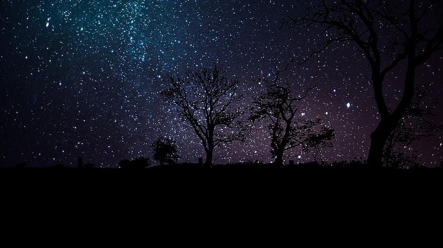 nat, himmel, stjerne, natur, træer, univers, mørk, galakse, konstellation, astronomi, plads