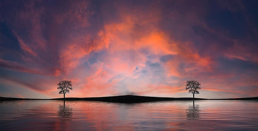 danau, pohon, matahari terbenam, matahari terbit, bank, bayangan hitam, refleksi, air, alam, langit, awan
