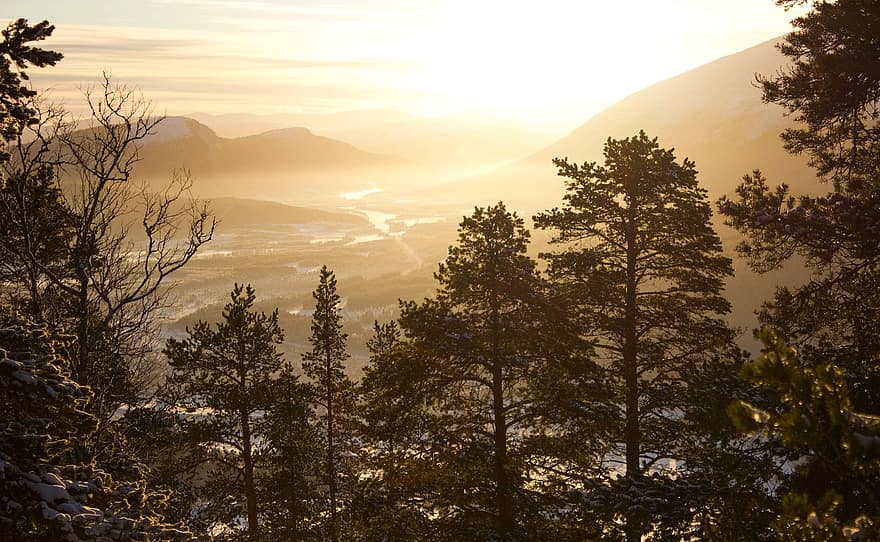 las, drzewa, zachód słońca, śnieg, zimno, zimowy, natura, krajobraz, Góra, Gräner, sterdalen