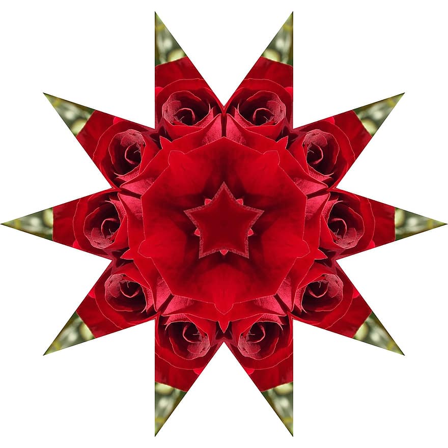 Róża, gwiazda, mandala, kalejdoskop, ornament, różowy, kolaż