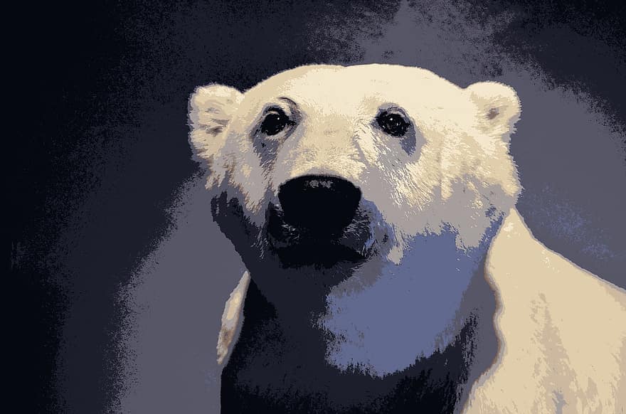 ours polaire, neige, hiver, dangereux, ours, la nature, Arctique