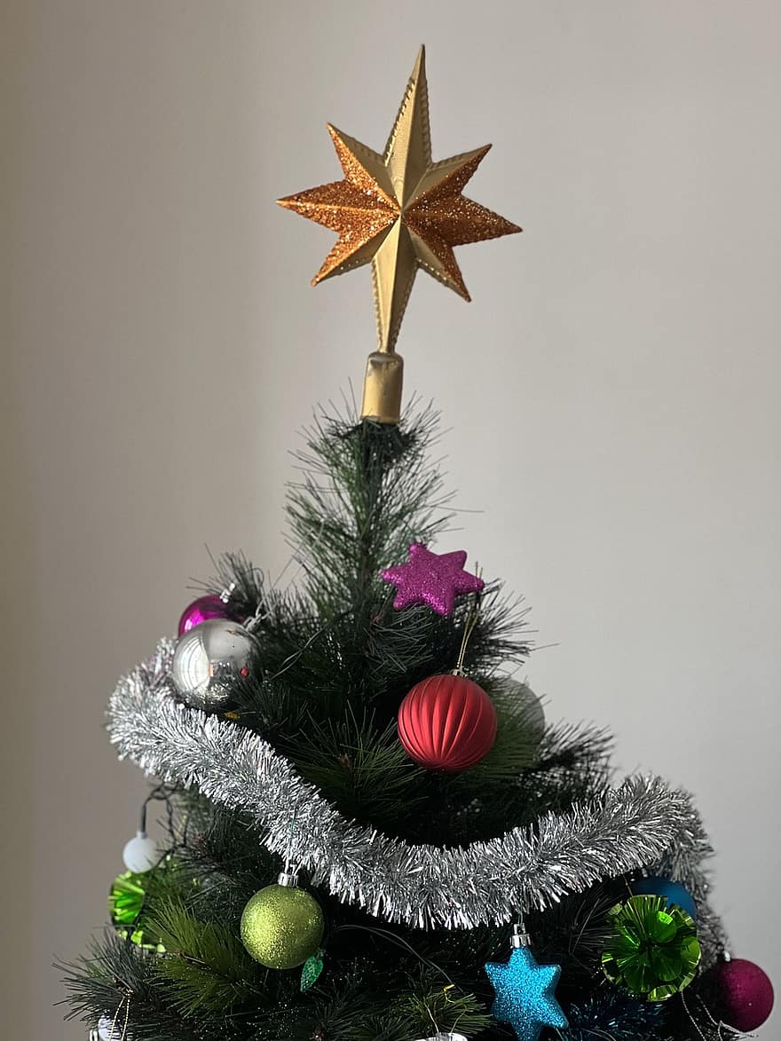 Коледа, звезда, орнаменти, дърво, украса, празненство, сезон, Коледно украшение, подарък, Коледна украса, фонове