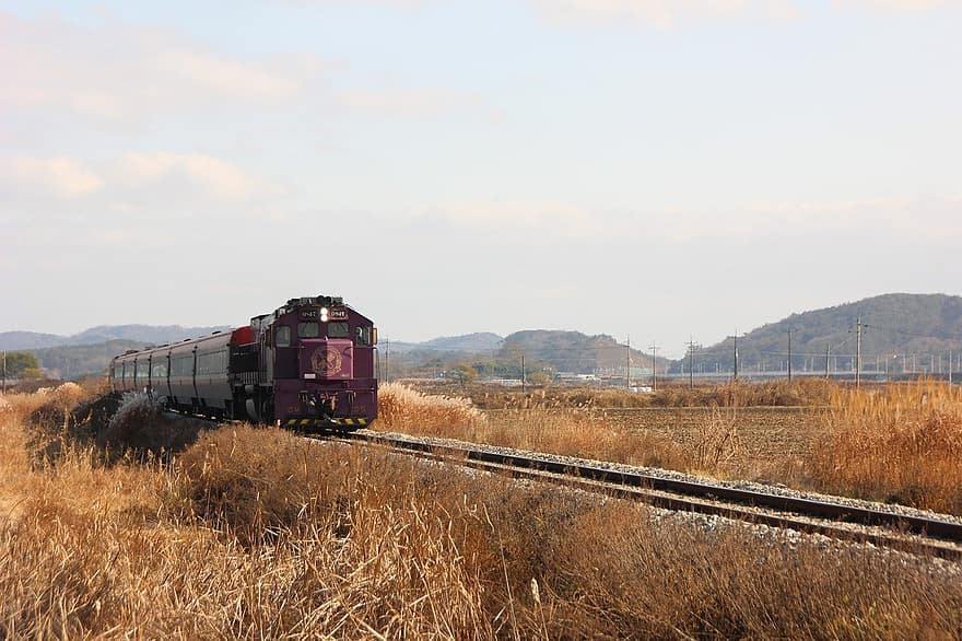 tåg, resa, transport, utforskning, utomhus, motor, korea, järnväg, diesel, passagerare, järnvägsspår