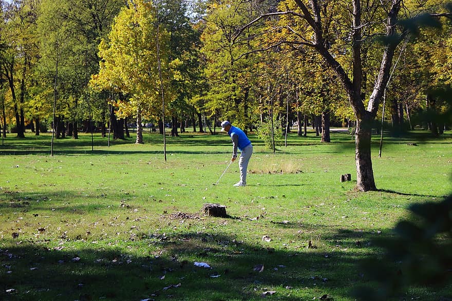 golfas, Sportas, parkas, lauke, medžiai