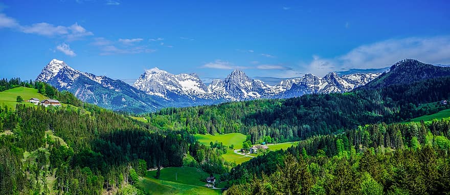 alpine, bjerge, træer, skove, dale, Bjergdale, bjergkæde, bjergrige, Alperne, Dolomitterne, nåletræ