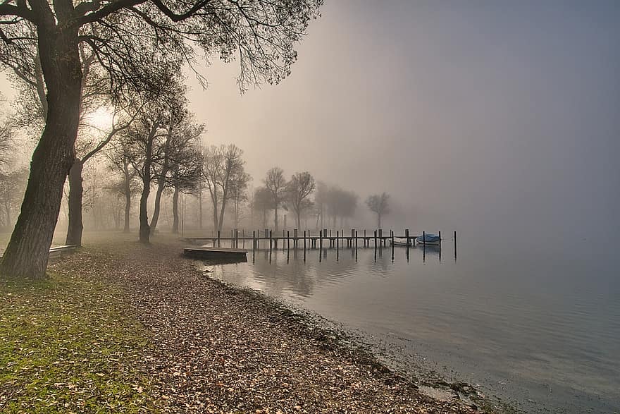 niebla, lago, humor mañanero, orilla del río, luz de la mañana, naturaleza, agua, árbol, paisaje, otoño, bosque