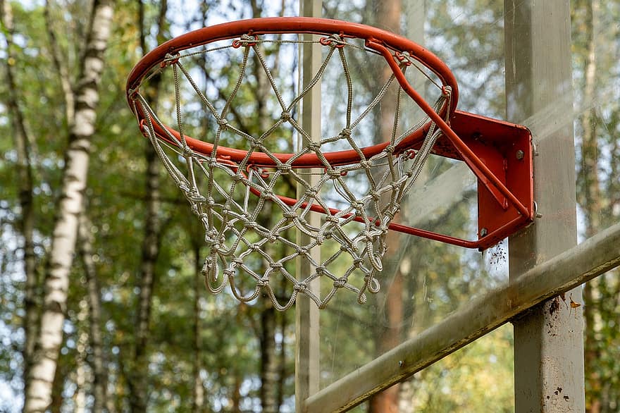 basketball nett, basketball, basketball-tavle, pakke inn, skog, trær, sport, spille, ballspill, fritid, underholdning