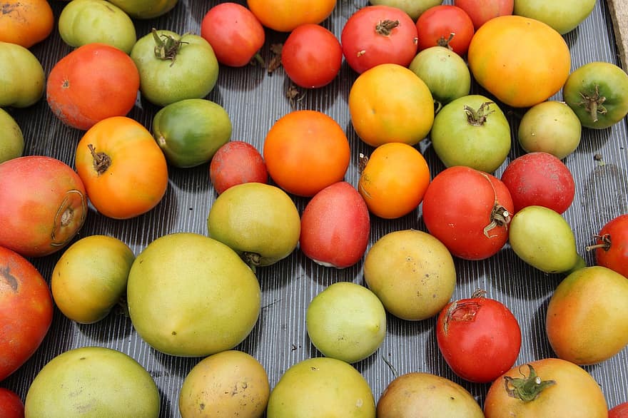 помидоры, свежий, урожай, производить, органический, свежие продукты, овощи