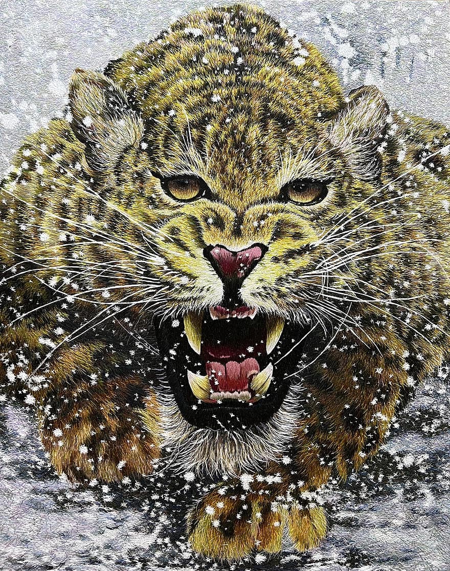leopard, feline, broderi, dyr i naturen, undomesticated cat, fikk øye på, stor katt, utrydningstruede arter, nærbilde, snø, pels