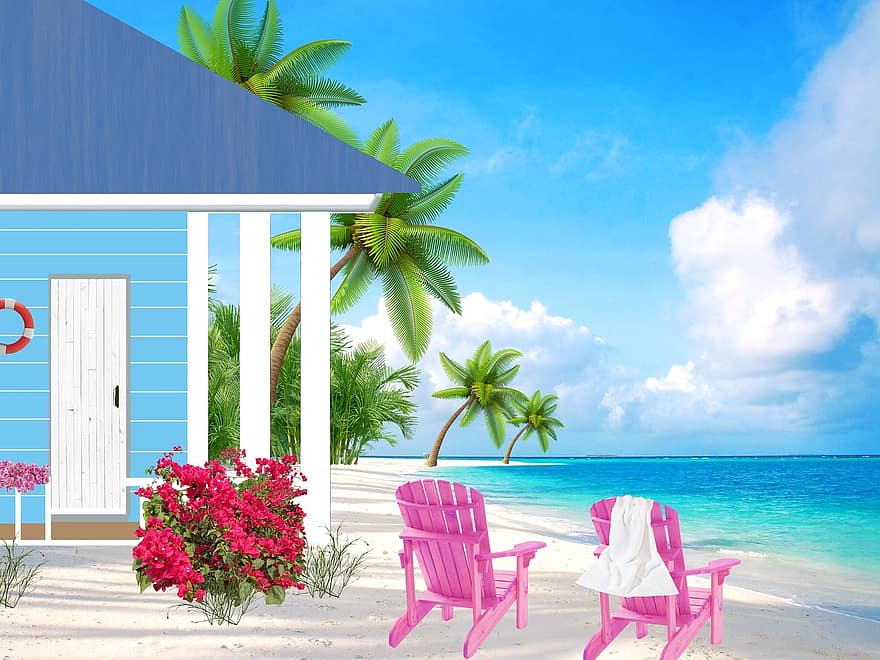 piccola casa, mare, spiaggia sabbiosa, Cottage, palme, spiaggia, tropicale, le case, sedie, adirondack, fioritura delle piante