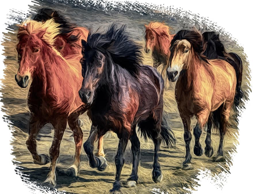 caballo, corriendo, animal, equino, semental, mustango, mamífero, ecuestre, melena, galope, yegua