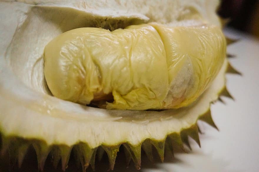 Durian, frukt, mat, färsk, hälsosam, mogen, organisk, ljuv, producera, skörda, lantbruk