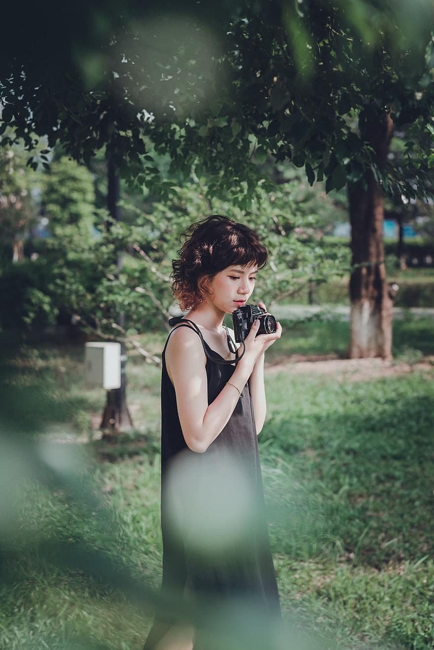 жена, камера, фотограф, инструмент, оборудване, дървета, листа