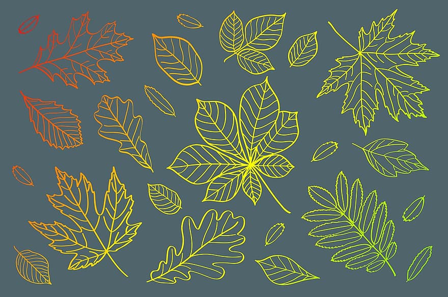 осень, падать, листья, лист, красный, настроение, цвет, желтый, зеленый, фон, благодарение