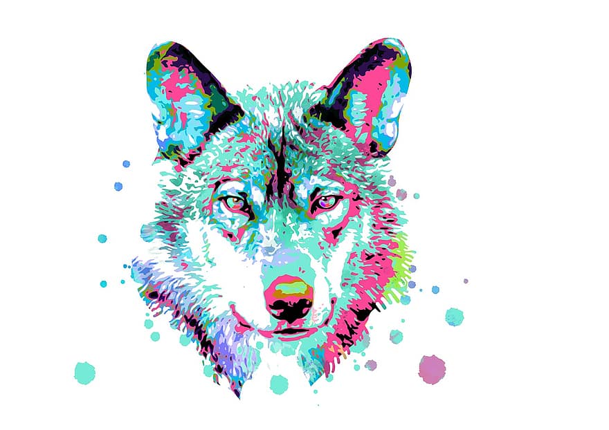 волк, голова волка, млекопитающее, Изобразительное искусство, многоцветный, дикое животное, собака, иллюстрация, домашние питомцы, собачий, изолированный