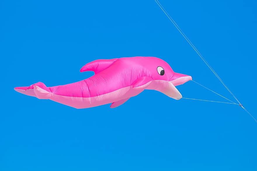 Dolphin Kite, Kite, Kite Flying, blue, flying, mid-air, levitation, fun, multi colored, jumping, toy