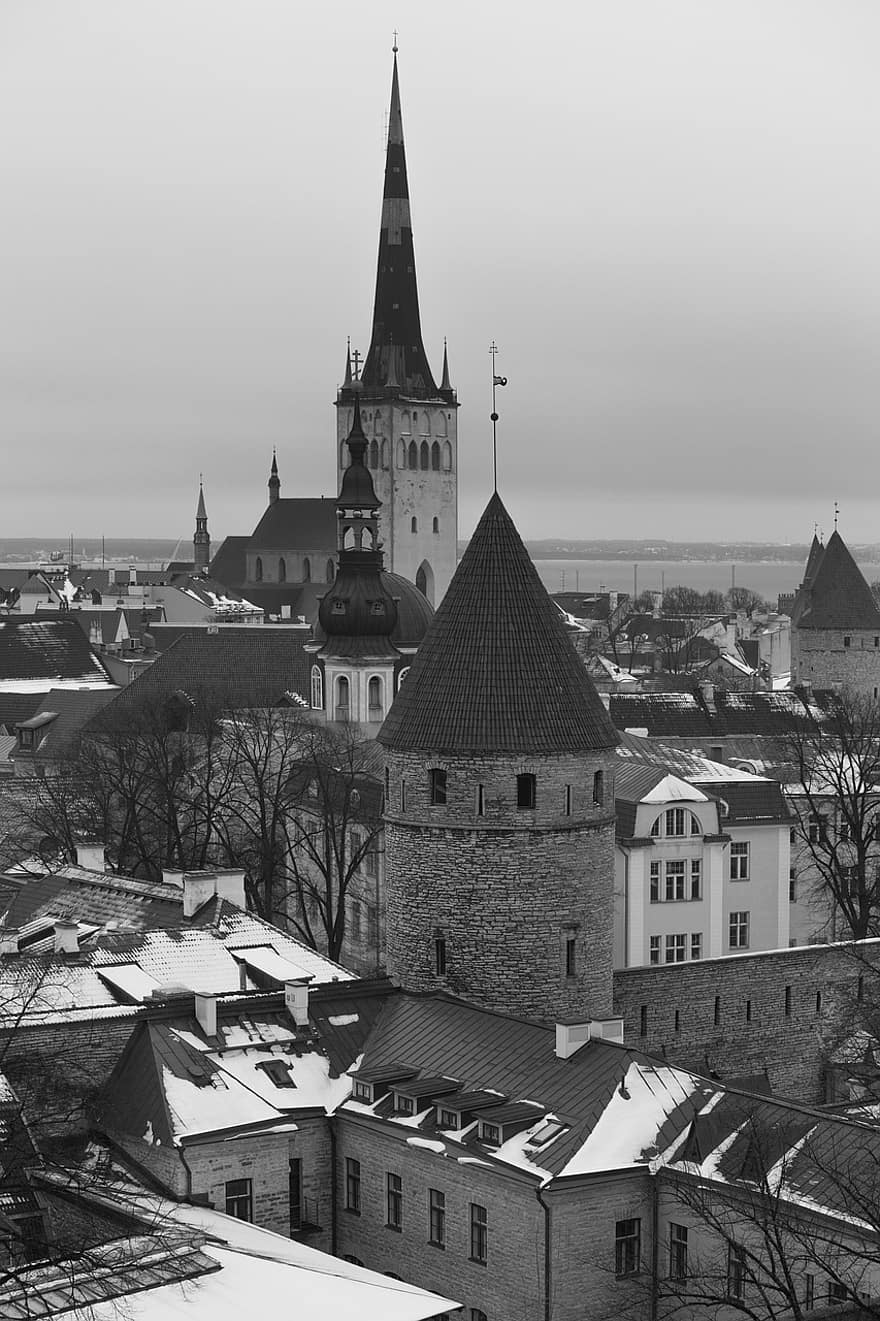 City, Monochrome, Building, Architecture, Estonia, famous place, roof, old, history, cultures, christianity