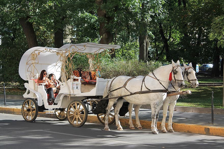 Carriage, Horses, Tourism, Coach