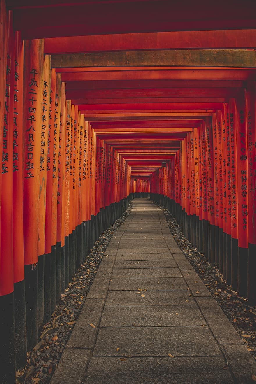 fushimi inari taisha, torii, svētnīca, templis, vārti, kyoto, arhitektūra, kultūras, reliģiju, slavenā vieta, vecs