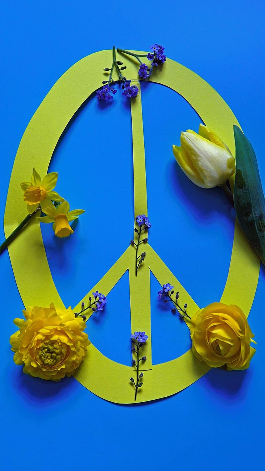 fred, fredssymbol, Ukrainas nasjonale farger, Ukraina, Ukraina farger, fredstegn, verdensfreden, gule blomster, blomst, blad, gul