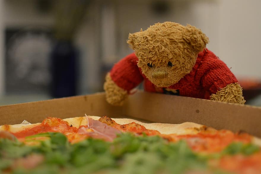 gấu bông, pizza, đồ chơi, vui tươi, nhồi, cái hộp, món ăn, dễ thương, cận cảnh, trong nhà, bữa ăn