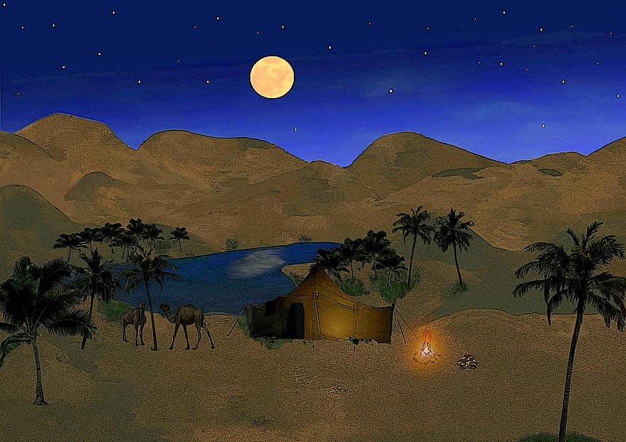 ốc đảo, mặt trăng, đêm, Sa mạc, cát, Thiên nhiên, tâm trạng, nghỉ ngơi, không khí