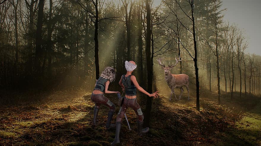 baggrund, Skov, kvinde, mand, elg, fantasi, Karakter, digital kunst, efterår, Kvinder, træ
