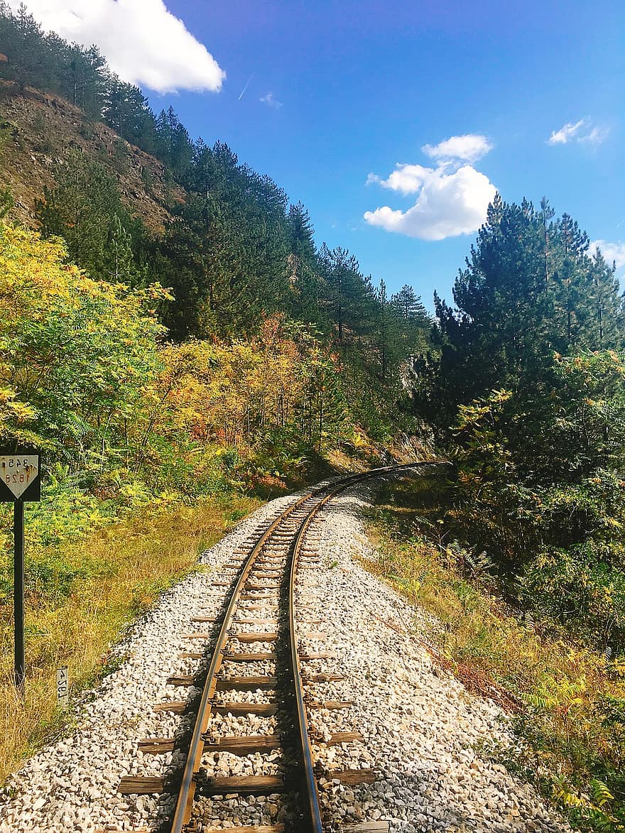 Train Track, Railway, Forest, Railroad, Mountain, autumn, railroad track, landscape, rural scene, tree, yellow