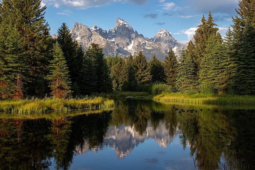 lac, pădure, copaci, Alpi, alpin, munţi, de munte, reflecţie, oglindire, imagine in oglinda, Grand Teton