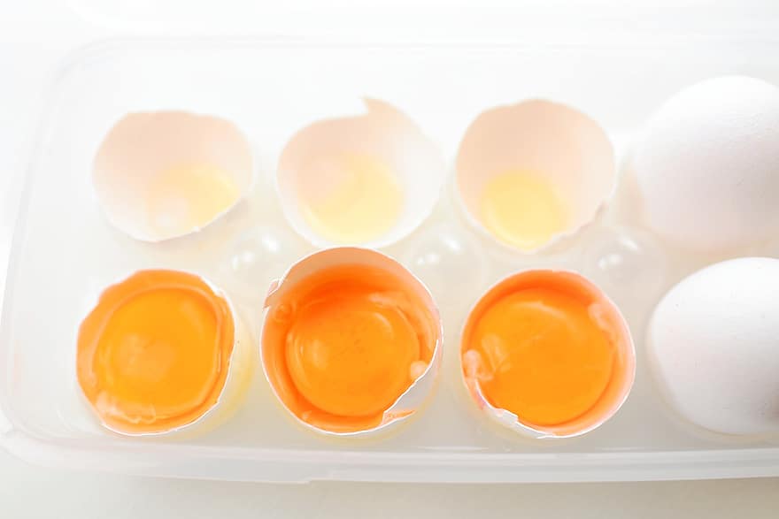 des œufs, jaune d'œuf, coquille d'oeuf, conteneur à oeufs, œufs de poule, nutritif, aliments, biologique, produit de poulet