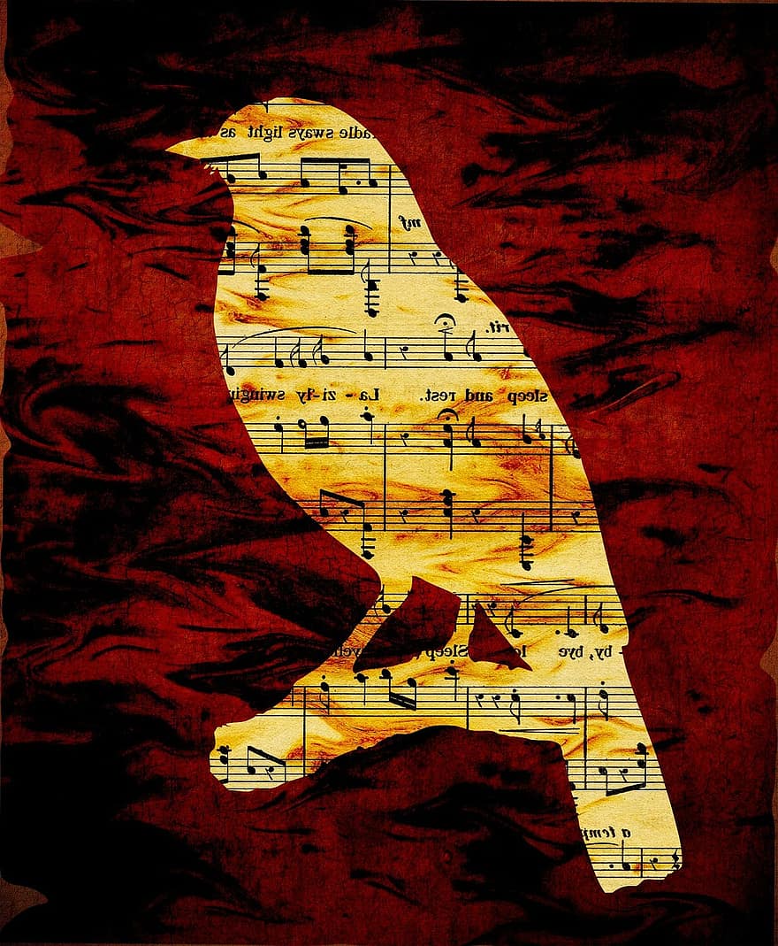 Bird, Silhouette, Musical Notes, Sheet Music, Music, Note, Notes, Outline, Shape, Grunge, Background