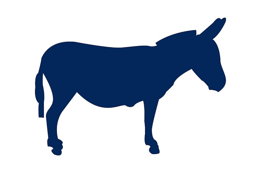 burro, animal, silueta, naturalesa, salvatge, disseny