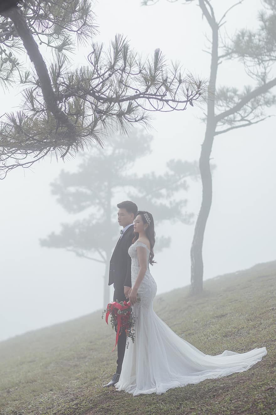 couple, mariage, brouillard, forêt, la mariée, jeune marié, romantique, Jour de mariage, mari, femme, homme